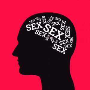 sex on the brain graphic